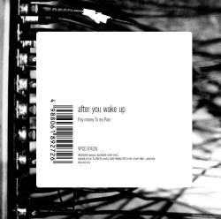 Pay Money To My Pain : After You Wake Up